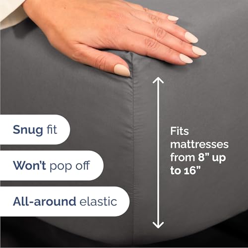 Queen Size 4 Piece Sheet Set VS HYLEORY Comforter