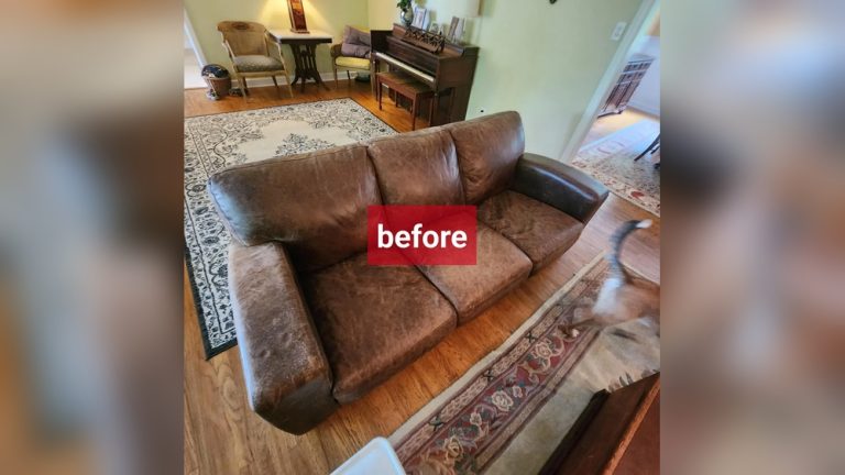 How to Clean Leather Sofa Professionally
