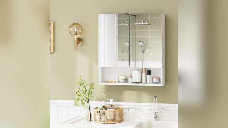 Wall Mounted Mirror And Storage