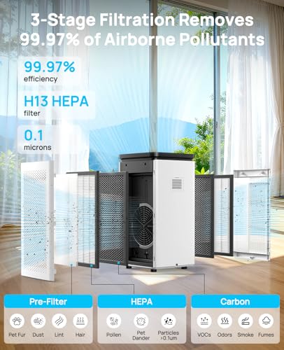 Best For HEPA Filtration And Dust Removal