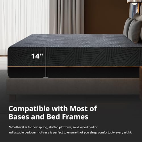 Best Mattress Size For Couples