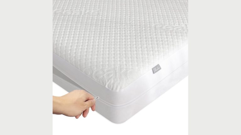 Zippered mattress encasement fitted over a bed in a bright bedroom